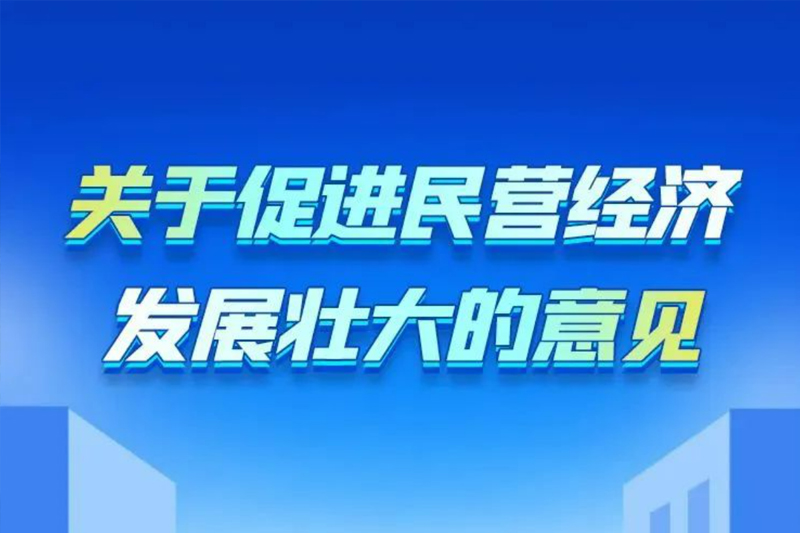 胜昊观察+丨《中共中央 国务院关于促进民营经济发展壮大的意见》发布